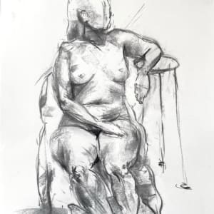 Silk lady, Image 1.