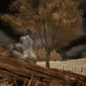 Dreamweaver_4 Proof 1