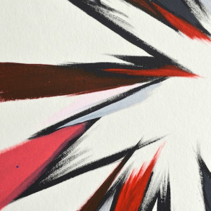 NWC Color Star by Lee Clarke 