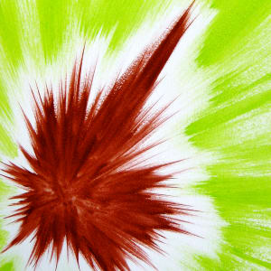 Green Flash by Lee Clarke