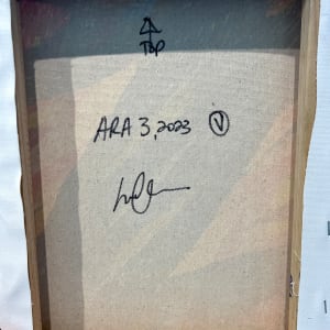 Ara 3 by Lee Clarke 