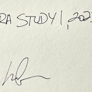 Ara Study 1 by Lee Clarke 