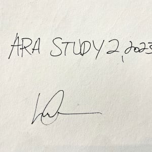 Ara Study 2 by Lee Clarke 