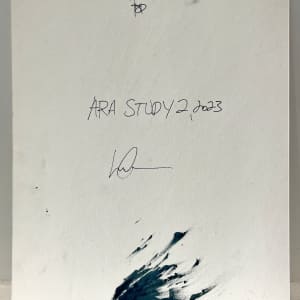 Ara Study 2 by Lee Clarke 