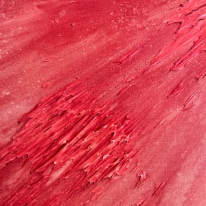 Madder Rose by Lee Clarke 