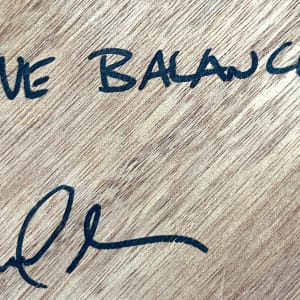 A Fine Balance by Lee Clarke 
