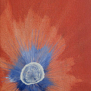 Here on this Red Earth by Lee Clarke, Image 1.