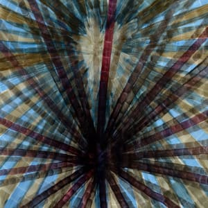 Simplicity Law by Lee Clarke