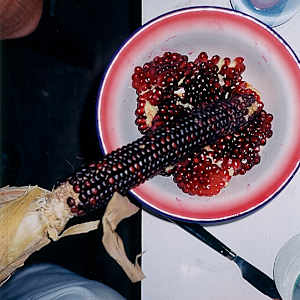 Indian corn and pomme granate by Wolfgang Tillmans