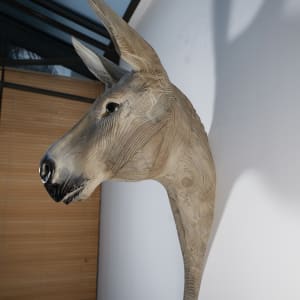Donkey by Quentin Garel