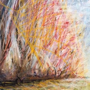 Willow Road, St. Francis-Little River Floodway / The Sunken Lands, Poinsett County, Arkansas by Norwood Creech 