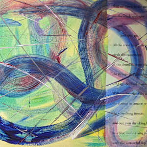 Cacophony by Elizabeth Watson, Image 1.