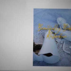 Beautifully Broken - Flipbook by Elizabeth Watson, Image 2.