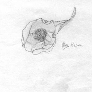 Emergence by Elizabeth Watson, Image 1.