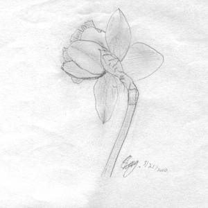 Turning Toward Light by Elizabeth Watson, Image 1.