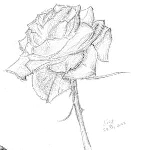 Unfolding by Elizabeth Watson, Image 1.