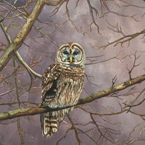 Hootie by Jason Scott - ART 