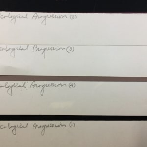 Ecological Progression (4 Sheets) by P. Mendlow 