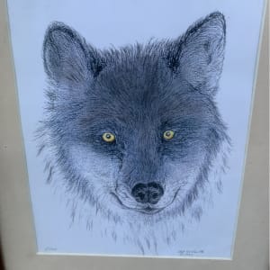 Wolf's Stare by Bob Golbooth 