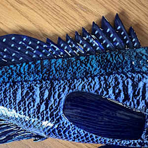 Black Sea Bass Ceramic by Caroline & Lauren Grainger 