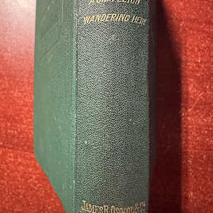 Charles Reade's Novels 1873   A Simpleton and The Wandering Heir by Charles Reade 