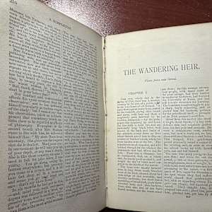Charles Reade's Novels 1873   A Simpleton and The Wandering Heir by Charles Reade 