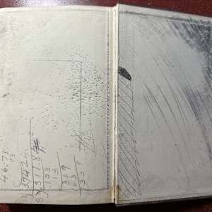 Essays: Scientific, Political, and Speculative Vol. 2 1868 