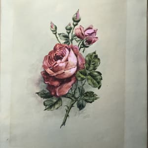 Rose of Joy by Wolf & Else Gent 