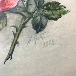 Rose of Joy by Wolf & Else Gent 
