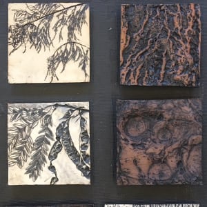 Collection Clay Bark Portraits, Trees as Tonic by Susan Stair, Image 1.