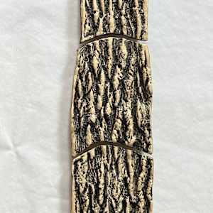 Trees as Tonic, Trees by Susan Stair, Image 6.