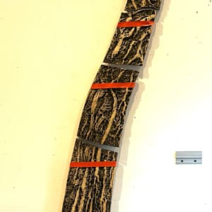 Trees as Tonic, Trees by Susan Stair, Image 4.