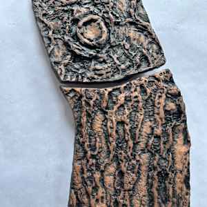Eastern White Pine, Trees by Susan Stair, Image 2.