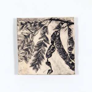 Honey Locust  Seed Pods, Trees as Tonic by Susan Stair, Image 1.