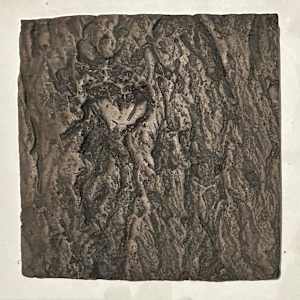 Yoshino Cherry  Bark, Trees as Tonic Tiles by Susan Stair, Image 1.