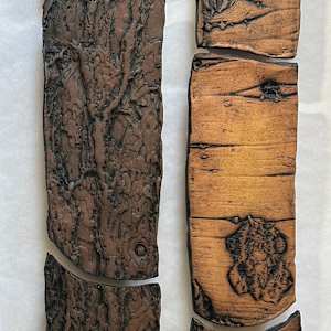 Old Scotch Pine and Aspen by Susan Stair, Image 2.