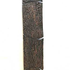 Red Oak Tree by Susan Stair, Image 2.