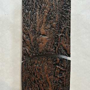 Red Oak Tree by Susan Stair, Image 1.