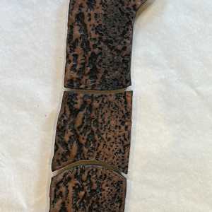 Hackberry, Trees by Susan Stair, Image 1.