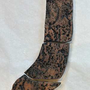 Hackberry, Trees by Susan Stair, Image 2.