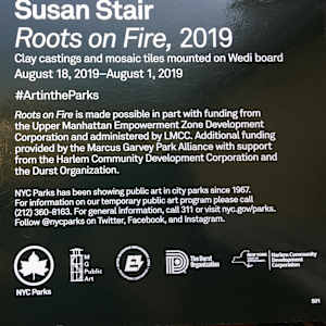 Roots on Fire by Susan Stair, Image 3.