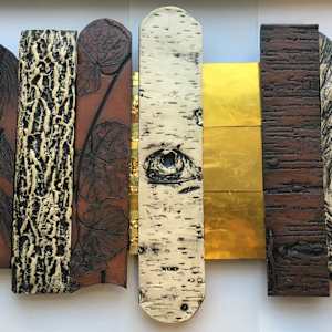 Clear Cut, Tree Stories by Susan Stair, Image 7.