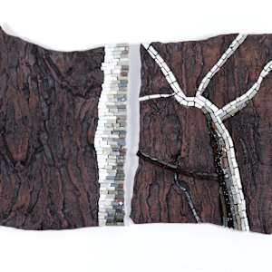 Clear Cut, Tree Stories by Susan Stair, Image 4.