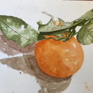 Orange on the Vine