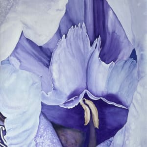 Intimate Iris by Anita Matcha