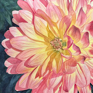 Hello, Dahlia by Anita Matcha