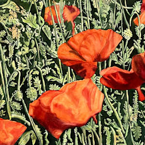 Poppies by Anita Matcha