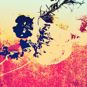 Birds of Flight 2/3 by Aazam Irilian