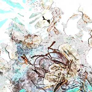 Crystal Zone 1/3 by Aazam Irilian