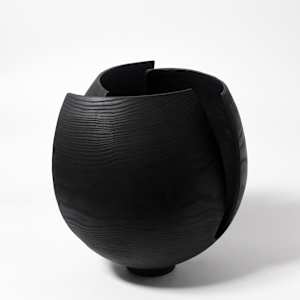 Bloom by Andreas Krätschmer 